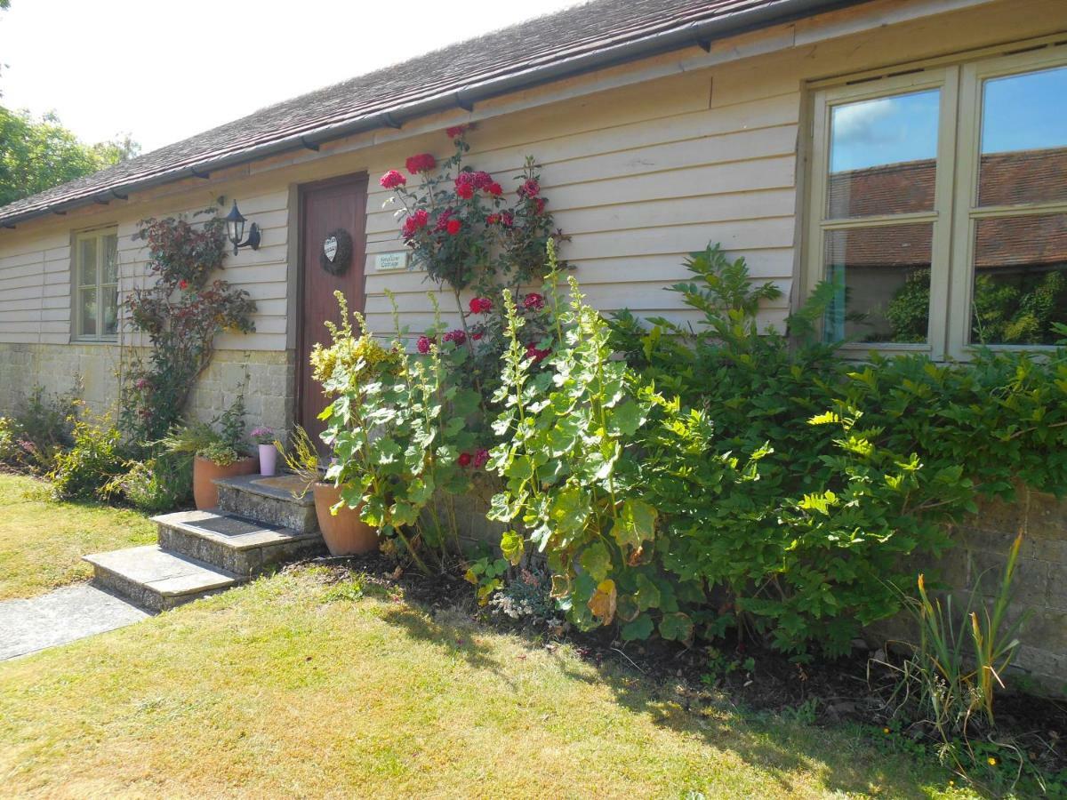 Spacious Swallow Cottage ティズベリー エクステリア 写真